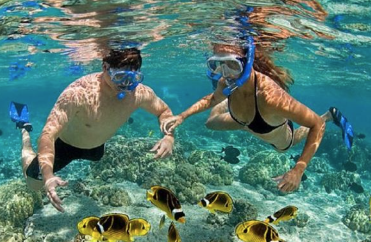 Best Beaches For Snorkeling In Puerto Rico