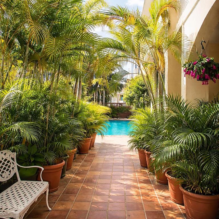 Condado Beach Coral Princess Hotel Pool